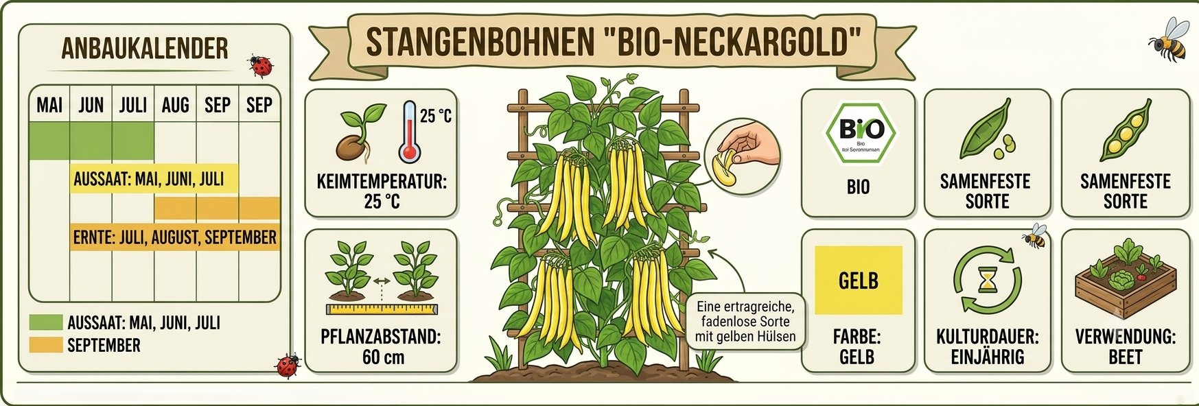 Stangenbohnen Neckargold