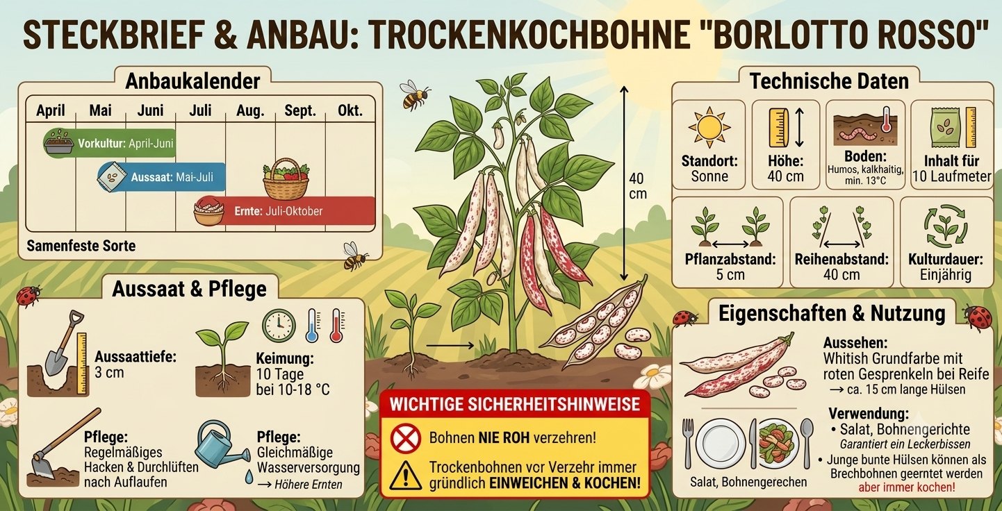 Trockenkochbohnen Borlotto Rosso