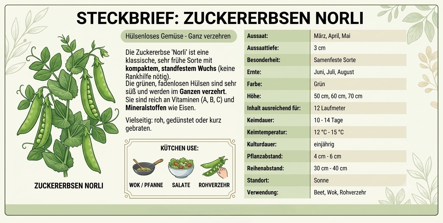 Zuckererbsen Norli