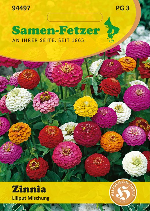 Zinnia Liliput Mischung