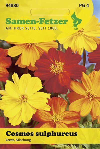Cosmos Sulphureus Crest Mischung
